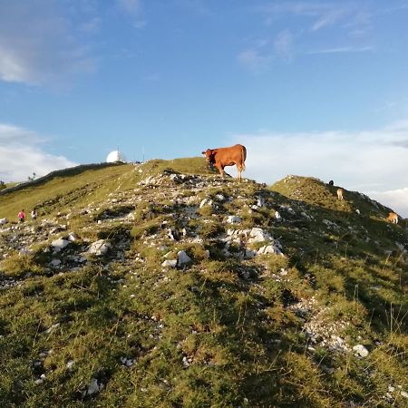 Cahute De Montagne Pour Profiter Du Haut Jura Premanon Bagian luar foto