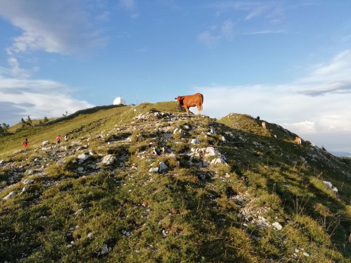 Cahute De Montagne Pour Profiter Du Haut Jura Premanon Bagian luar foto