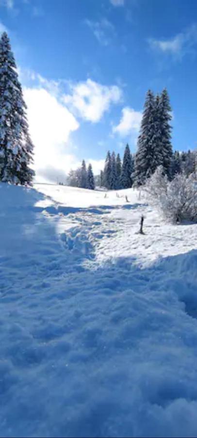 Cahute De Montagne Pour Profiter Du Haut Jura Premanon Bagian luar foto