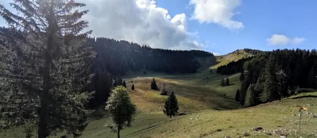 Cahute De Montagne Pour Profiter Du Haut Jura Premanon Bagian luar foto